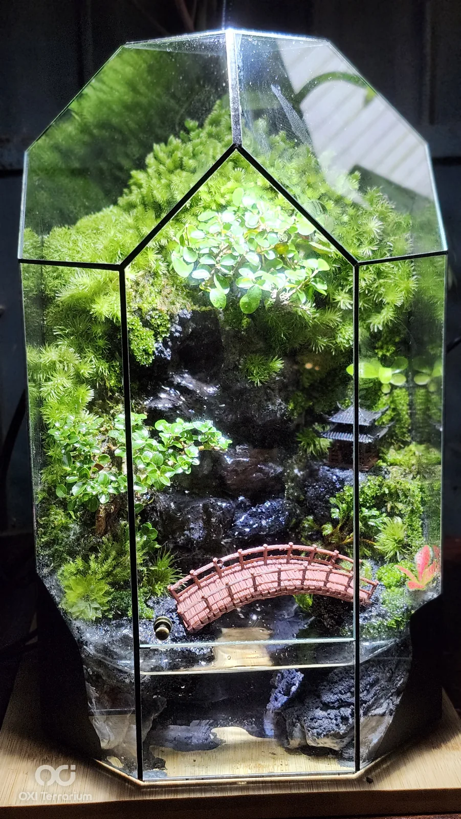 Làng Nhỏ Ven Suối — ảnh 2