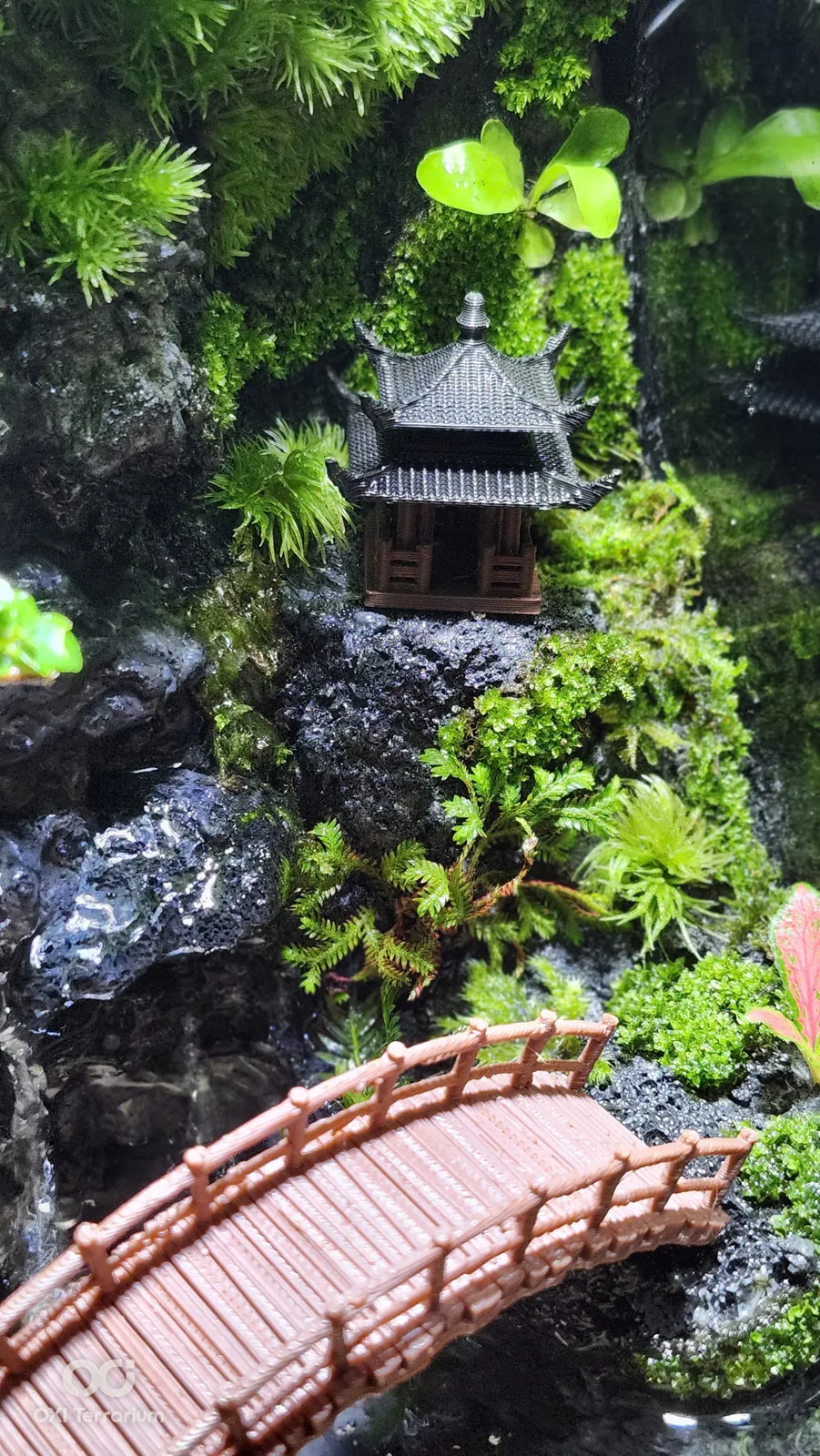 Làng Nhỏ Ven Suối — ảnh 5