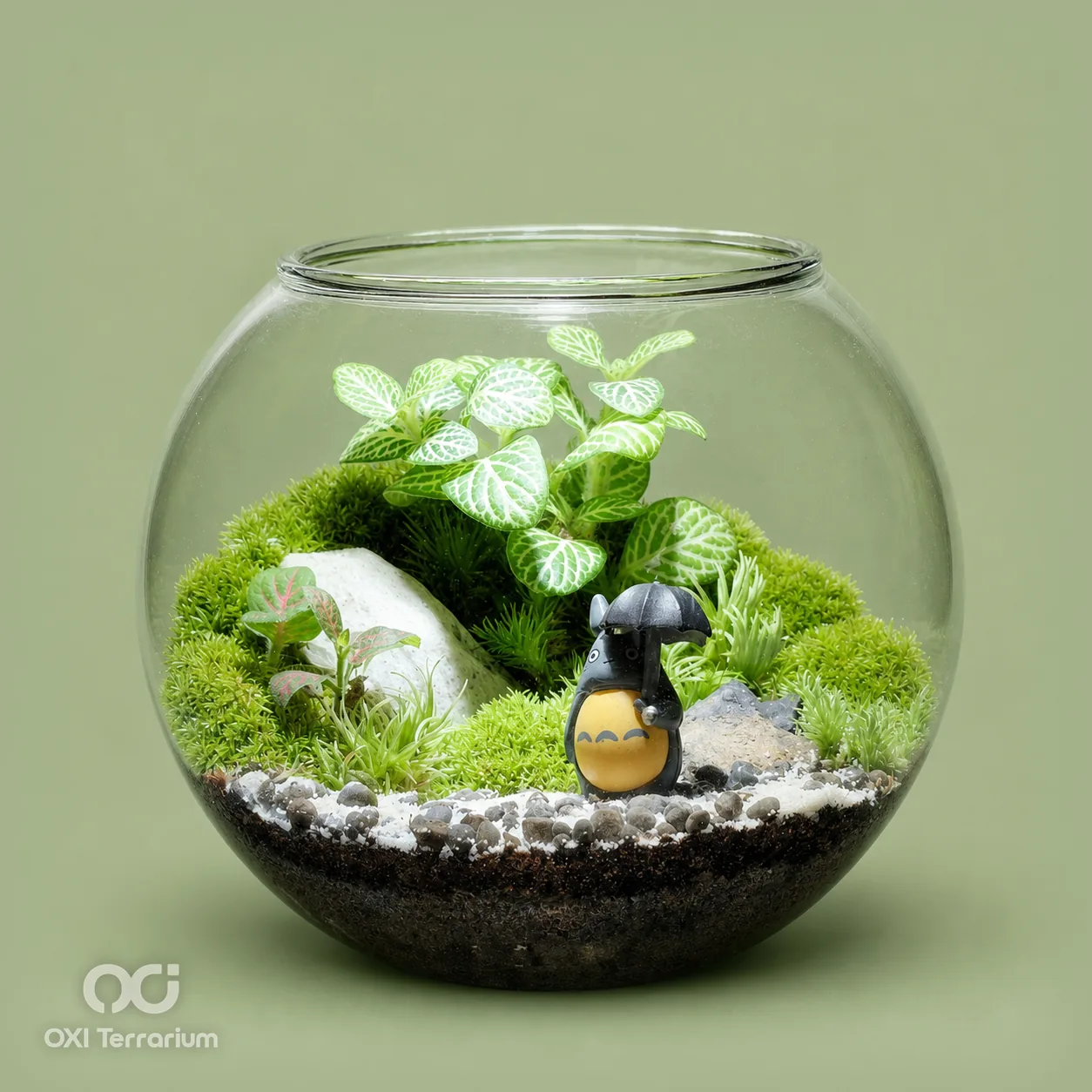 Totoro Trú Mưa