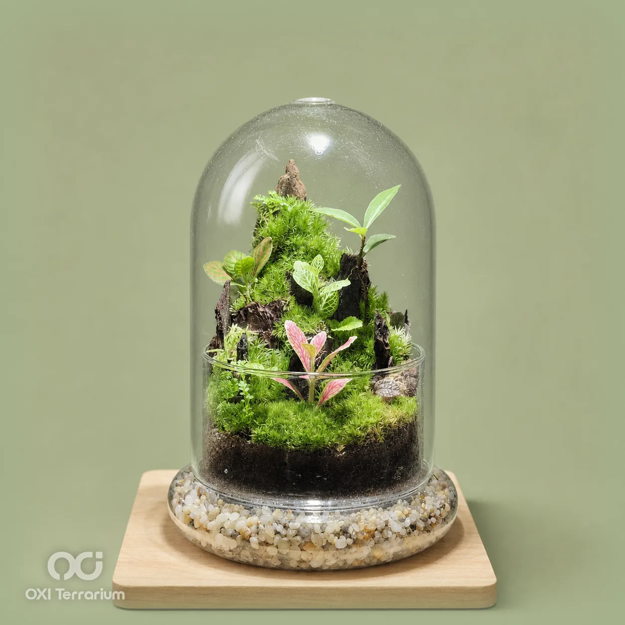 Đồi Lũa Xanh