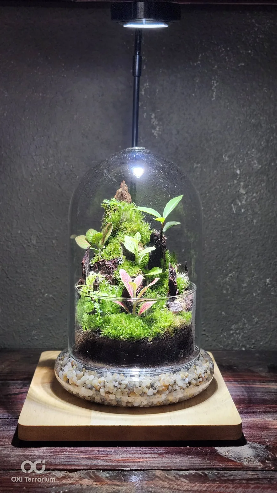 Đồi Lũa Xanh — ảnh 2