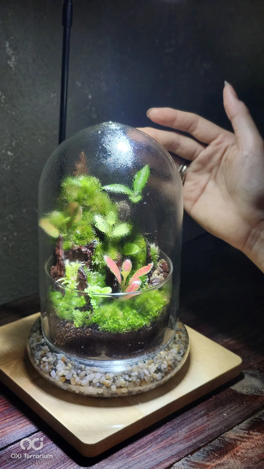 Đồi Lũa Xanh — ảnh 4