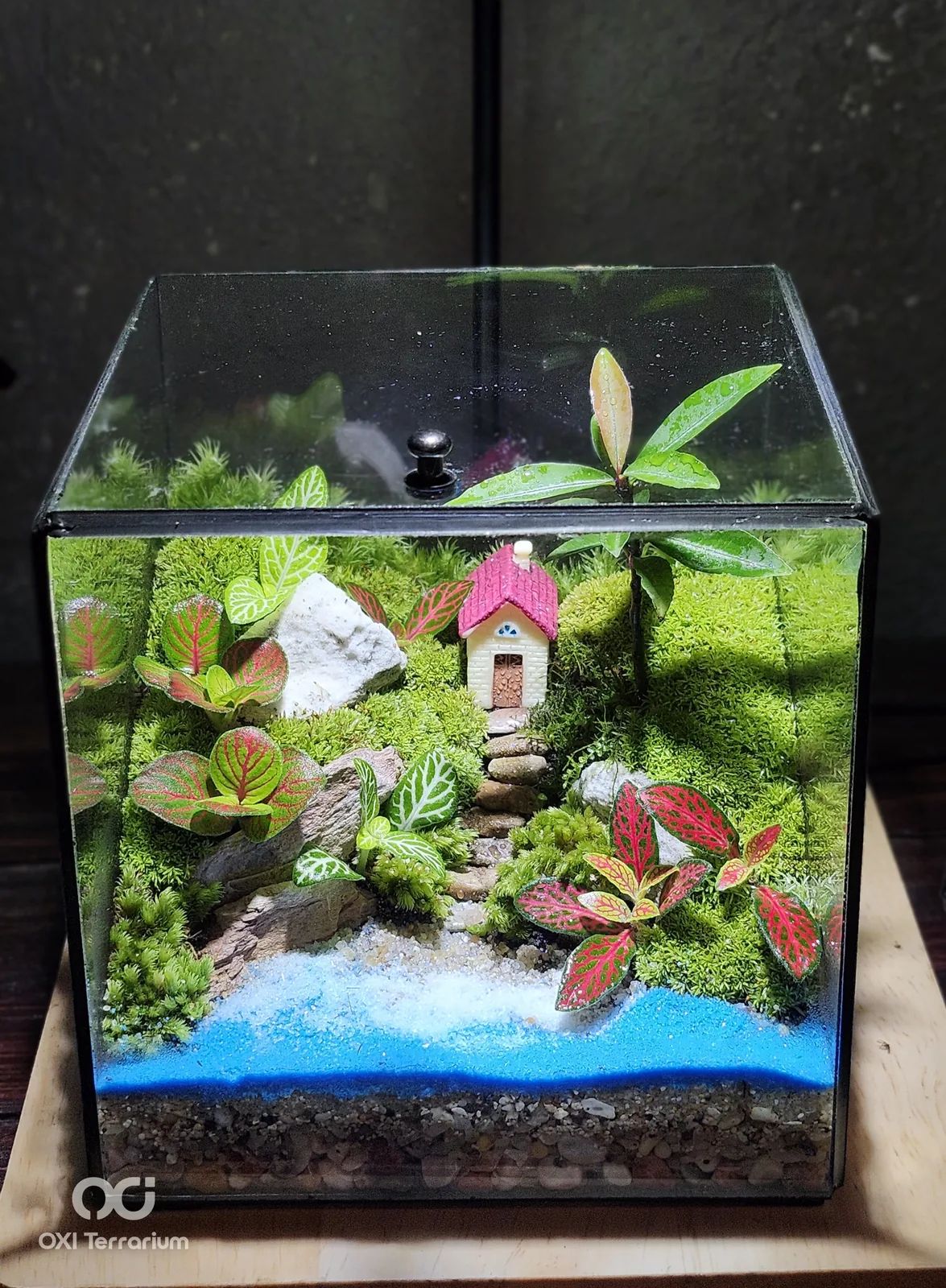 Ngôi Nhà Ven Hồ — ảnh 3