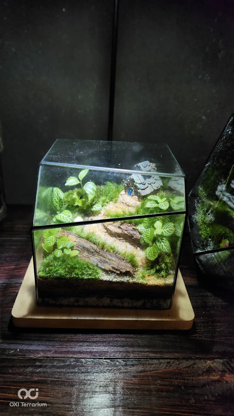 Ngôi Nhà Mái Rêu — ảnh 2