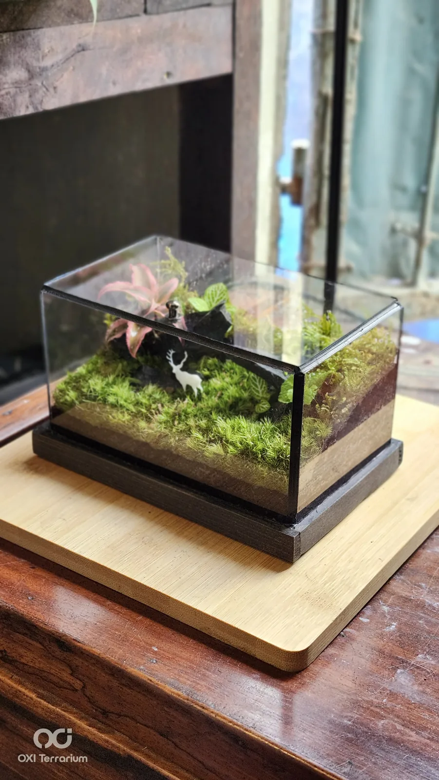 Hươu Trắng Giữa Rừng — ảnh 3
