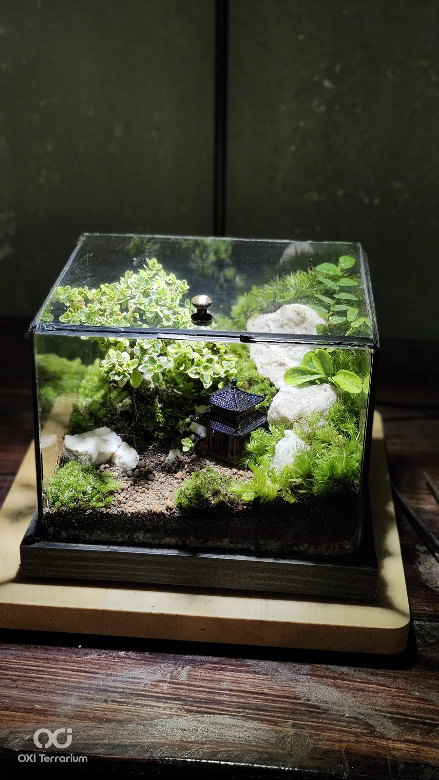 Nhà Cổ Bên Bonsai — ảnh 3