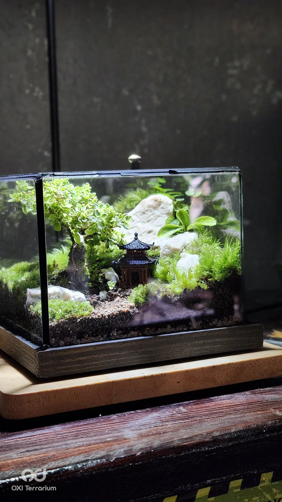 Nhà Cổ Bên Bonsai — ảnh 4