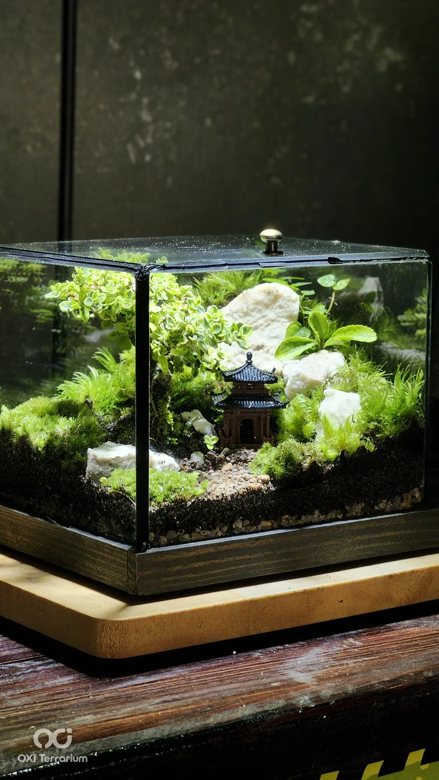 Nhà Cổ Bên Bonsai — ảnh 6