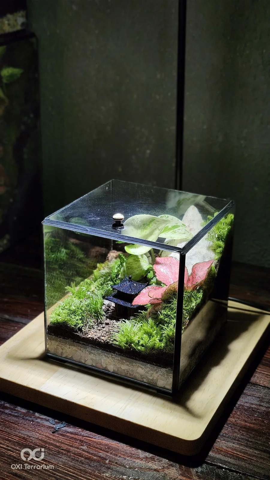 Nhà Cổ Mái Cong — ảnh 2