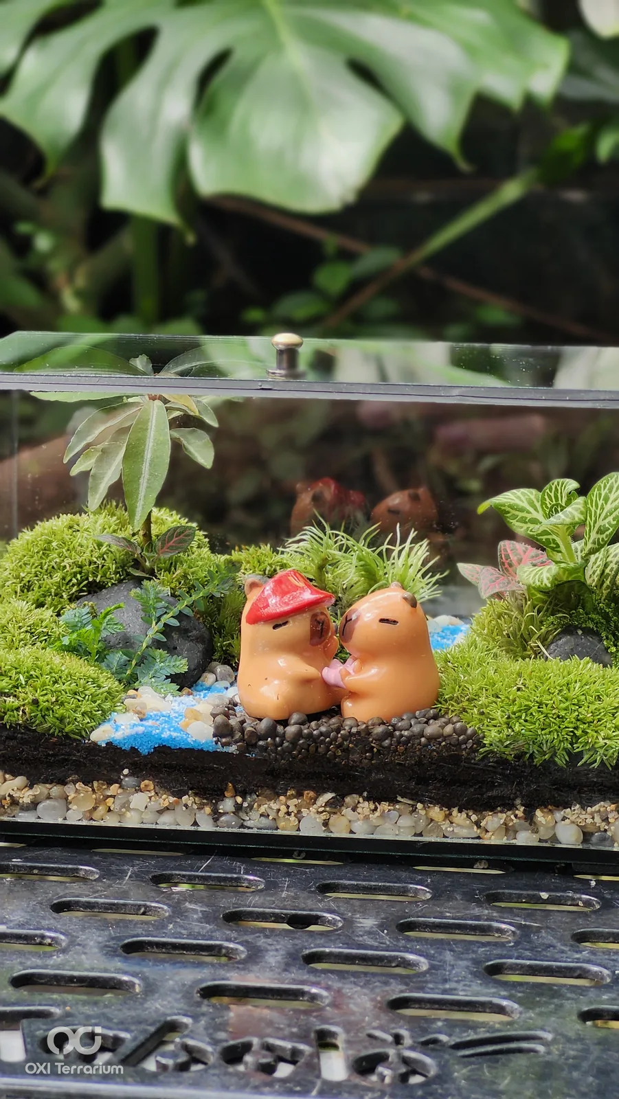 Cặp Capybara Bên Suối — ảnh 3