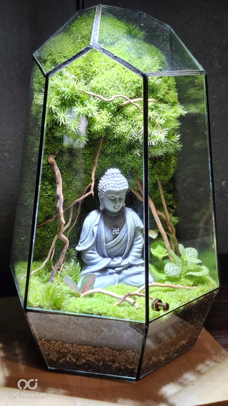 Lặng Bên Tượng Phật — ảnh 2