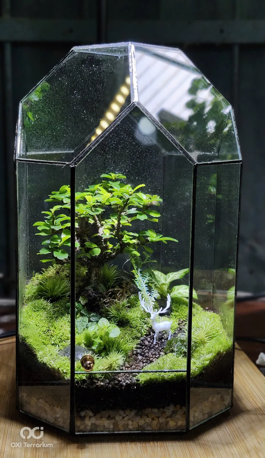 Lối Mòn Hươu Trắng — ảnh 2